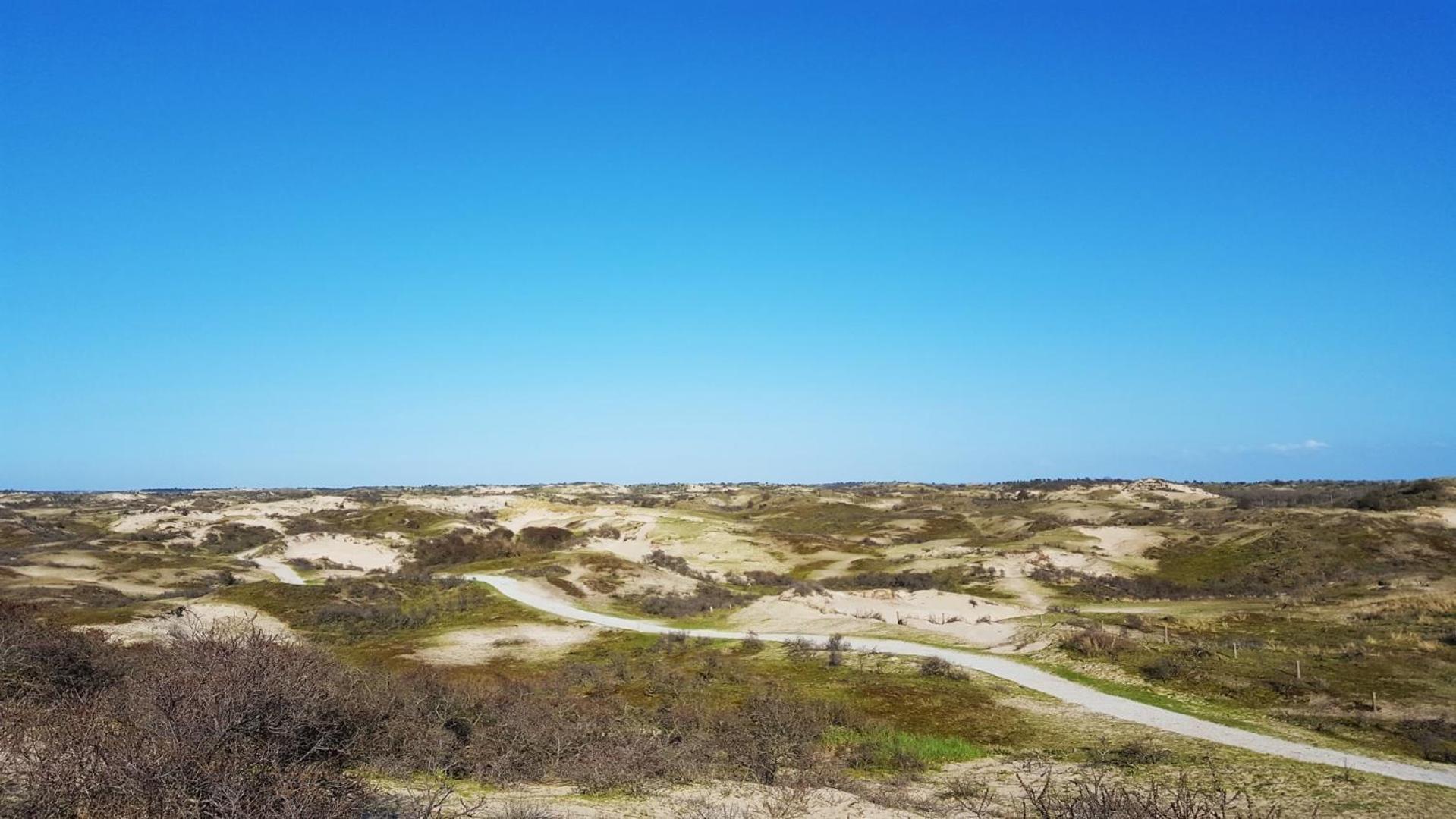 Bamboe Suite Bentveld Met Ligbad En Gratis Parkeren Luaran gambar